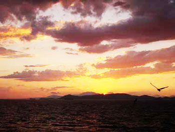 ΦΩΤΟΓΡΑΦΙΕΣ ΣΑΝΤΟΡΙΝΗΣ - SANTORINI ISLAND PHOTOS: Santorini's famous sunset