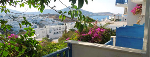 Paros Hotel, Hotels Paros, Rooms, Apartments, Cheap, price, best, rates, Room, Rate, Price, Hotel, Hotels PAROS