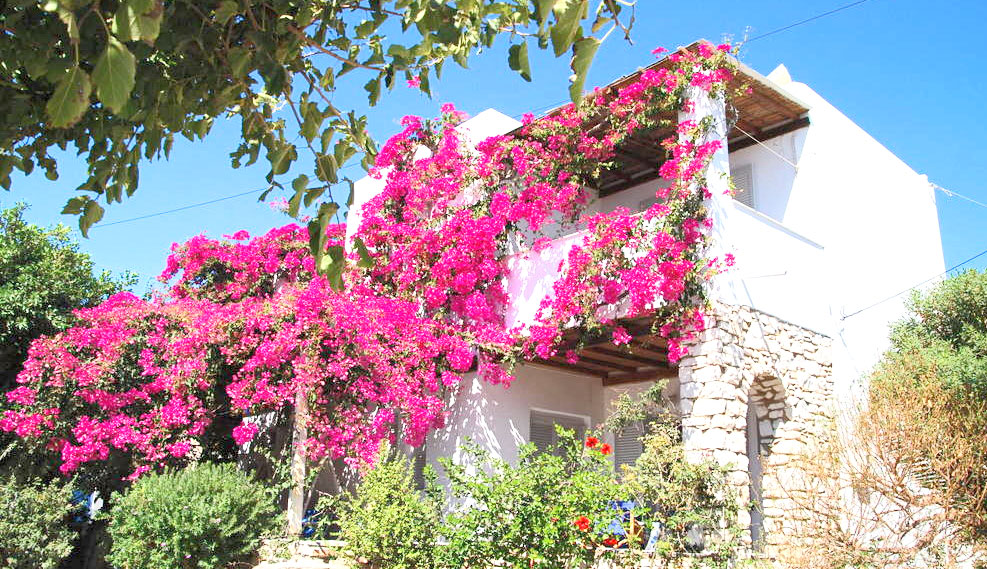 ΠΑΡΟΣ | Hotels | Rooms | Studios