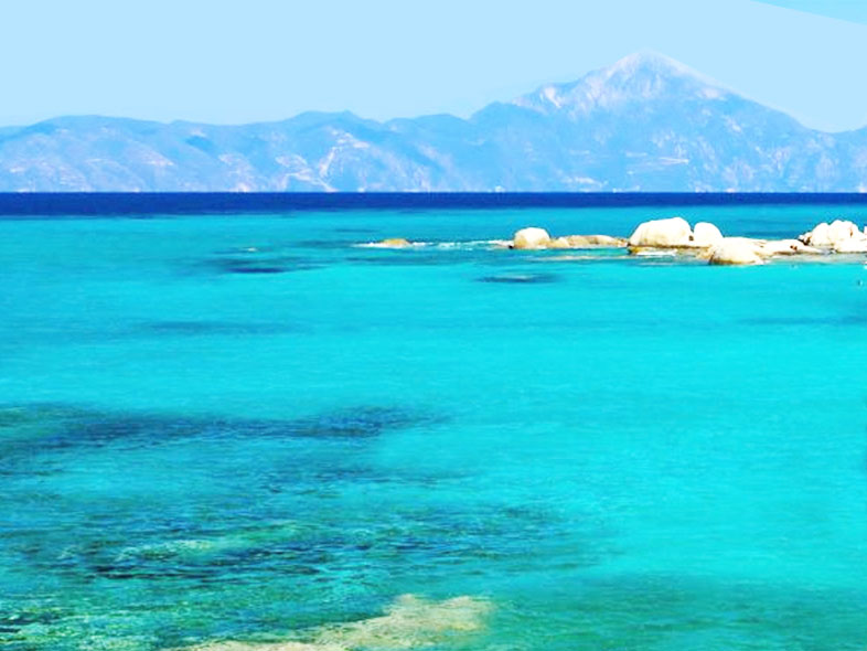 ΧΑΛΚΙΔΙΚΗ